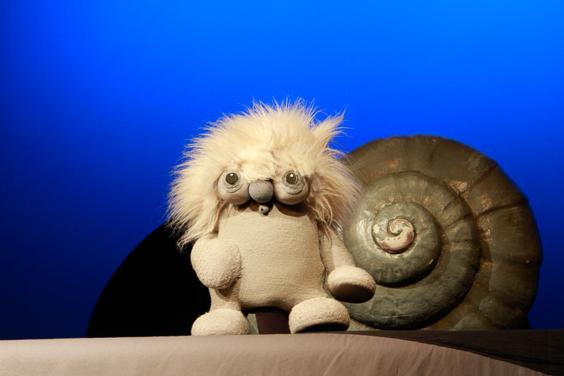 Wer wohnt denn da im Schneckenhaus?